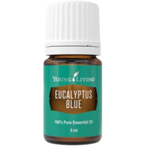 Plavi eukaliptus (Eucalyptus Blue) 5 ml - Young Living Eterično Ulje