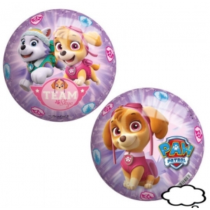 Paw Patrol lopta, 23cm, 04-133061