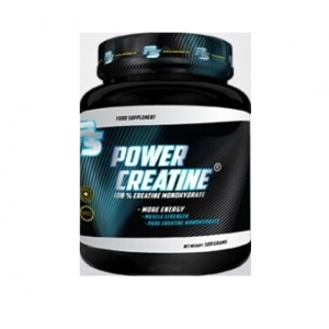 Pansport power creatine (500g)