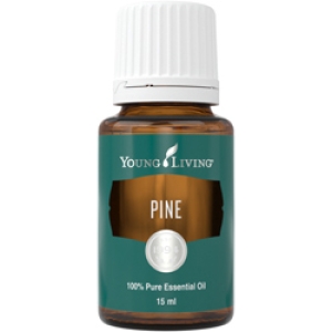 Bor (Pine) 15 ml - Young Living Eterično Ulje