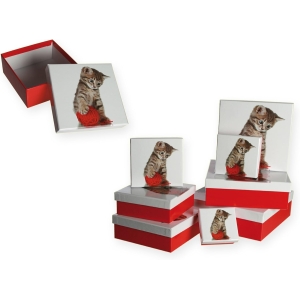 Set dekorativnih kutija maca, 2867-0
